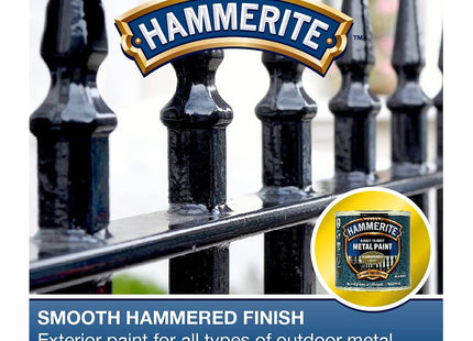 Hammerite Metal Paint: Hammered Gold 250ml 5084818