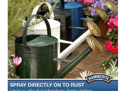 Hammerite Spray Paint for Metal. Direct to Rust Exterior Red Metal Paint, 8 Year Protection 0.5 SqM Coverage 400ml