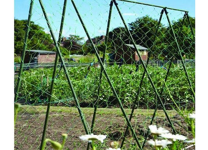 Apollo Gardening Ltd 52541 Pea & Bean Net 4X2M