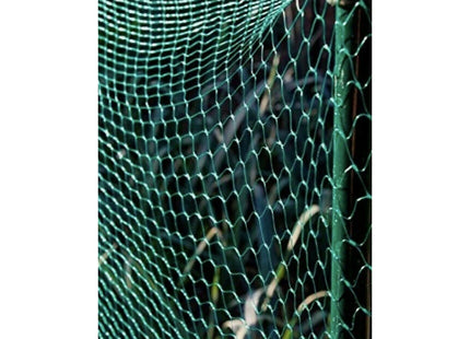 Apollo Gardening Ltd Apollo Garden Net 3M x 2M 52536