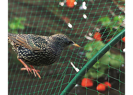Apollo Gardening Ltd Apollo 52537 Garden Net 6M X 2M