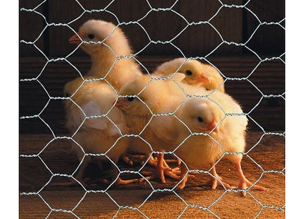 Apollo Gardening Ltd Apollo 10m Galvanised Wire Netting - 600mm High, 25mm Mesh
