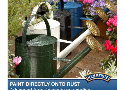 Hammerite 90ml Kurust 5092819