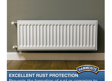 Hammerite Regaero 400ml Radiator Enamel -Gloss White 5084780