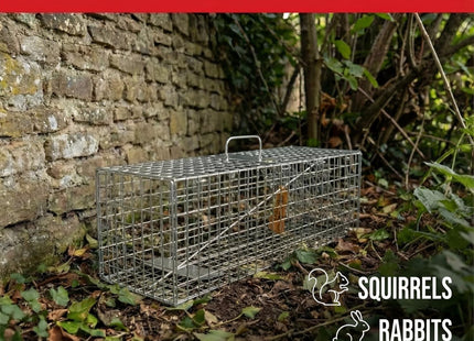 STV The Big Cheese Live Animal Trap - Small Cage Ready-Assembled Humane Catch & Release Trap