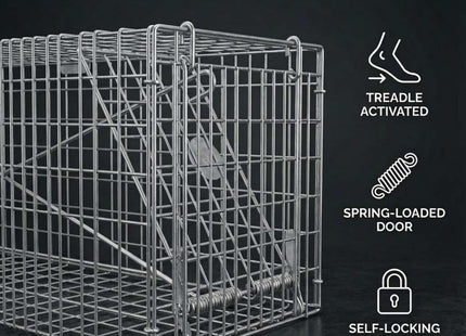 STV The Big Cheese Live Animal Trap - Small Cage Ready-Assembled Humane Catch & Release Trap