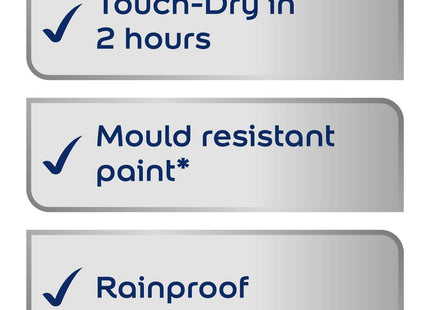 Dulux Weather Shield Quick Dry Satin Paint, 2.5 Litre - Black