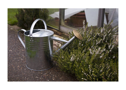 Apollo Gardening Ltd Galvanised Watering Can 76472