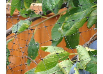 Apollo Gardening Ltd Apollo Fruit Cage Net with 19mm Mesh for Fruit Cage Construction