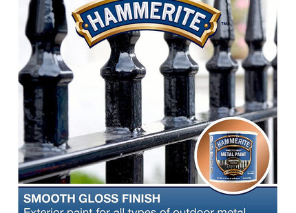 Hammerite Direct to Rust Metal Paint - Smooth Copper Finish 250ml 5092932