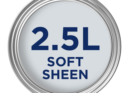 Dulux Easycare Bathroom Soft Sheen Emulsion Paint for Walls and Ceilings, Frosted Steel, 2.5 Litre 500001