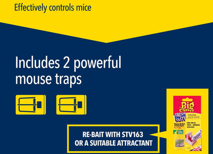 STV The Big Cheese Ultra Power Ready-Baited Mouse Trap Reusable Mouse Traps For Indoor & Outdoor Use Humane Mouse-Trap Easy to Clean Plastic Mice Trap