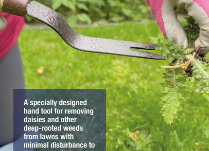 Spear & Jackson 4057NB Elements Daisy Grubber