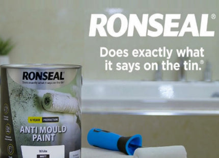 Ronseal Anti Mould Paint White Matt 750ml AMPWM750