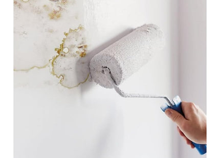 Ronseal 6 Year Anti Mould Paint - White - Silk - 750ml