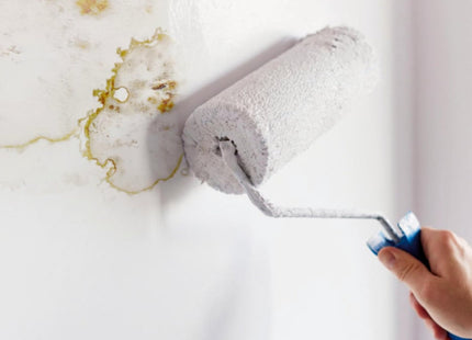 Ronseal Anti Mould Paint White Matt 2.5 Litre