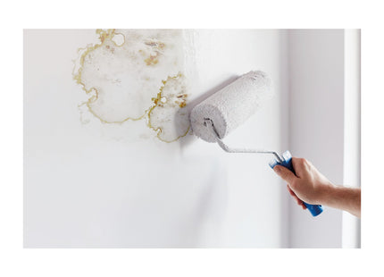 Ronseal Anti Mould Paint White Silk 2.5 Litre