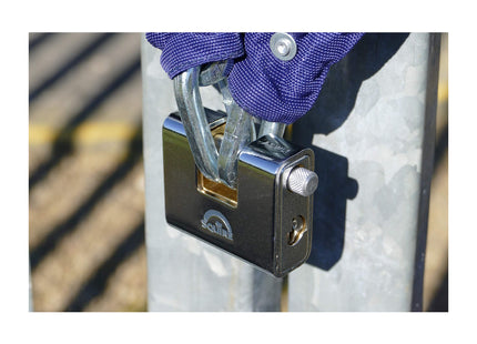 Squire Henry Warehouse Armoured Brass Block 5 Pin Padlock, Silver, 60 mm (Length) x 25 mm (Width) ASWL1