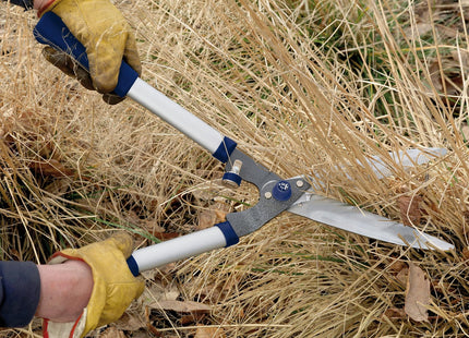 Spear & Jackson 8110RS Razorsharp Notched Hedge Shear, Blue
