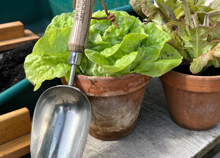 Spear and Jackson 5060SS Traditional Soil Scoop