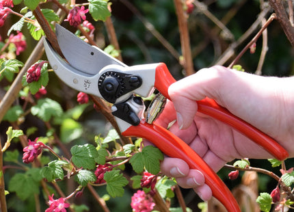 Spear & Jackson 6659BS/13 Heavy Duty Bypass Secateurs