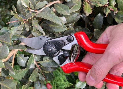 Spear & Jackson 6657BS Small Heavy Duty Bypass Secateurs
