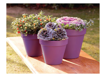 Ronseal Garden Paint Purple Berry, 250ml RSLGPPB250