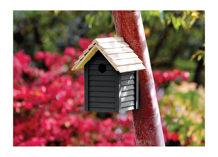 Ronseal Garden Paint Blackbird 250ml 37382