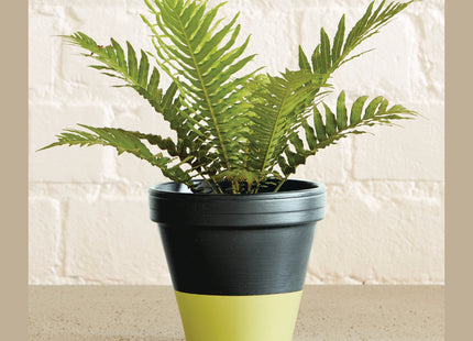 Ronseal Garden Paint Blackbird 2.5 Litre 37430