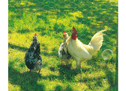 Apollo Gardening Ltd 5m 900 x 25mm Wire Netting Galvanised