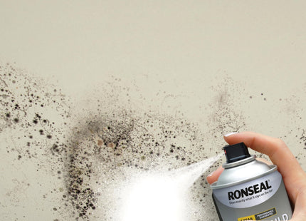 Ronseal 6 Year Anti Mould Aerosol White Matt 400ml
