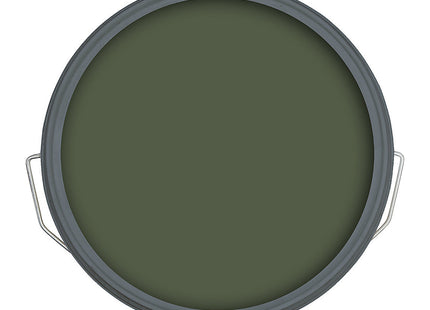 Ronseal 5 Litre Fence Life Plus Paint - Forest Green RSLFLPPFG5L