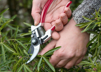 Spear & Jackson 6160BS Razorsharp Premium Bypass Pruners