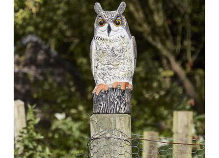 STV The Big Cheese Long Eared Owl Realistic Decoy Deterrent, Scares Birds from Gardens and Buildings