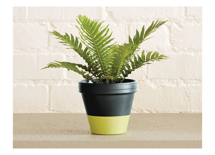 Ronseal Garden Paint Lime Zest 2.5 Litre [38512]
