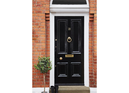 Ronseal 10 Year Weatherproof 2-in-1 Wood Paint Black Satin 2.5 Litre