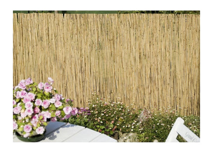 Apollo Gardening Ltd Apollo Reed Screen 4m X 1m