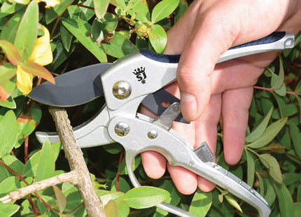 Spear & Jackson 6258Rs Ratchet Anvil Secateur