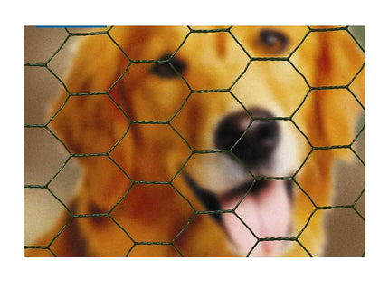 Apollo PVC Coated Green Wire Netting 25mm Mesh 10m x 1m 57313