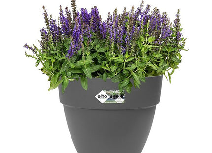 Elho Vibia Campana 30cm Flower Pot - Anthracite