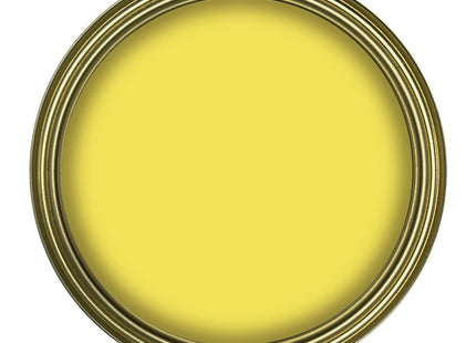 Rustins Small Job Satin Paint Buttercup 250ml