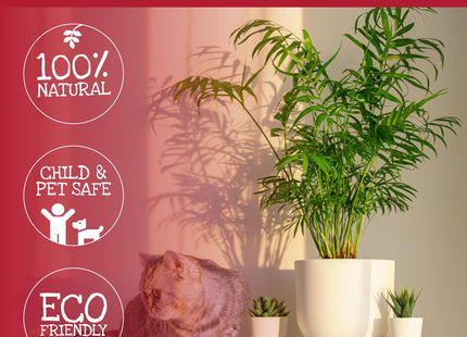 Lava-Lite No Gnats - Original Natural Fungus Gnat Killer for Houseplants, Soil &Compost] Child & Pet Safe]Cost Effective, Chemical Free Pest 1 Litre