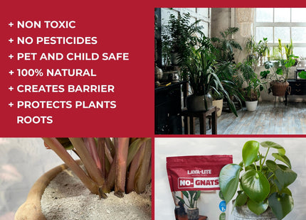 Lava-Lite No Gnats - Original Natural Fungus Gnat Killer for Houseplants, Soil &Compost] Child & Pet Safe]Cost Effective, Chemical Free Pest 1 Litre