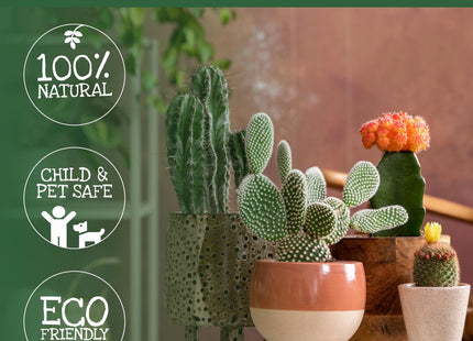 Lava-Lite Cactus Gro+ Free draining Cactus Compost & Succulent Soil Mix, houseplants.100% Natural 1 Litre