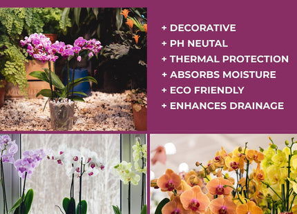 Lava-Lite Orchid Gro+ Orchid Potting Mix for Healthy Blooms and Growth 1 Litre