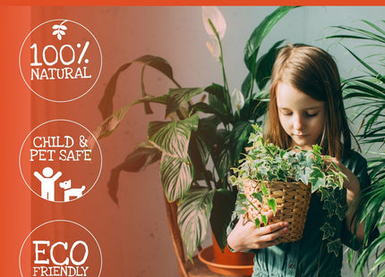 Lava-Lite Plus Plant Pot Toppers Stones 3 Litre