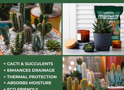 Lava-Lite Cactus Gro+ Free draining Cactus Compost & Succulent Soil Mix, houseplants.100% Natural