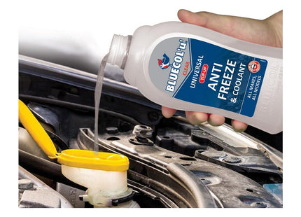 Bluecol Universal Antifreeze, 1 Litre