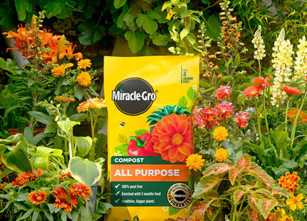 Miracle-Gro Peat-Free Premium All Purpose Compost 10 Litre Multi-Purpose Garden Soil Mix for Pots, Containers, Hanging Baskets & Outdoor Plants