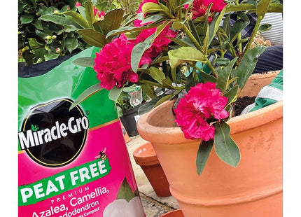 Miracle-Gro Peat Free Azalea Camellia Rhododendron Ericaceous Potting Compost 10 Litre Bag